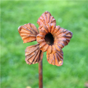 Daffodil Feature Plant Pin 5ft